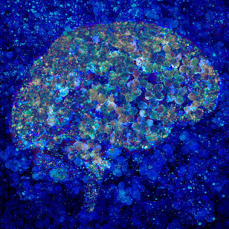 Cerebrum