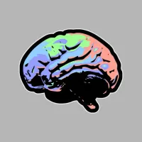 neurocolor's profile picture