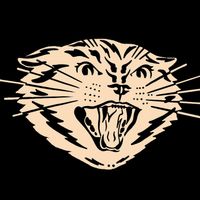 AnnAhoy's profile picture